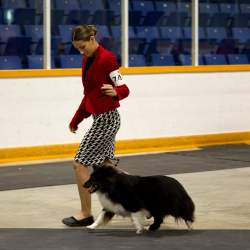 PCA Dog Show 2025