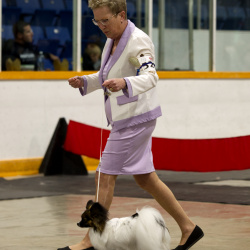 PCA Dog Show 2025