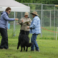 WDC Fetch Trial 2026